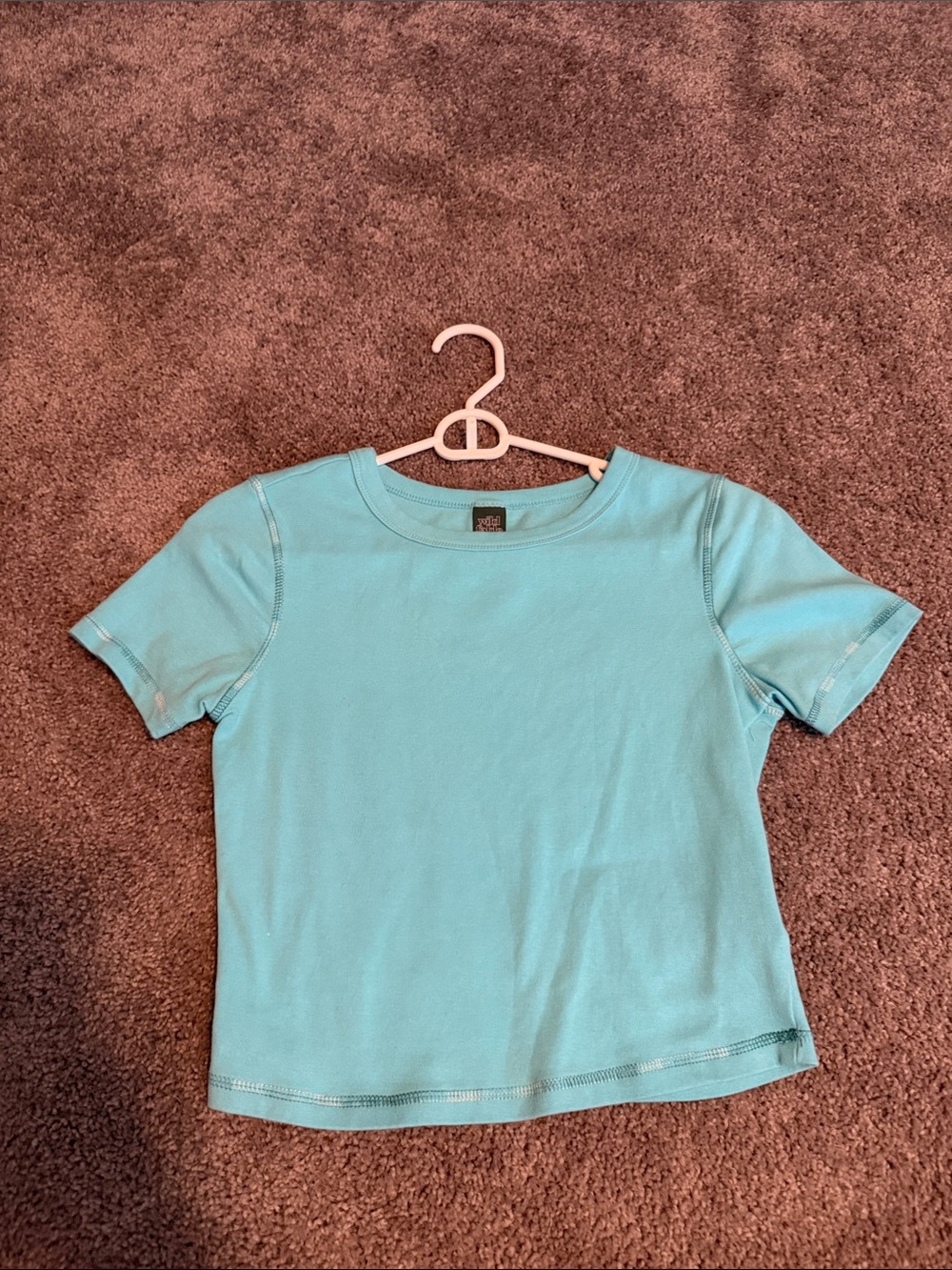 wild fable Light Blue Crop Tee